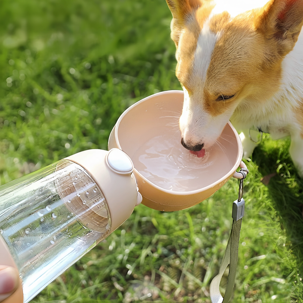 PawSip Travel Bottle 🐶 – Portable Water Bottle & Food Cup for Pets