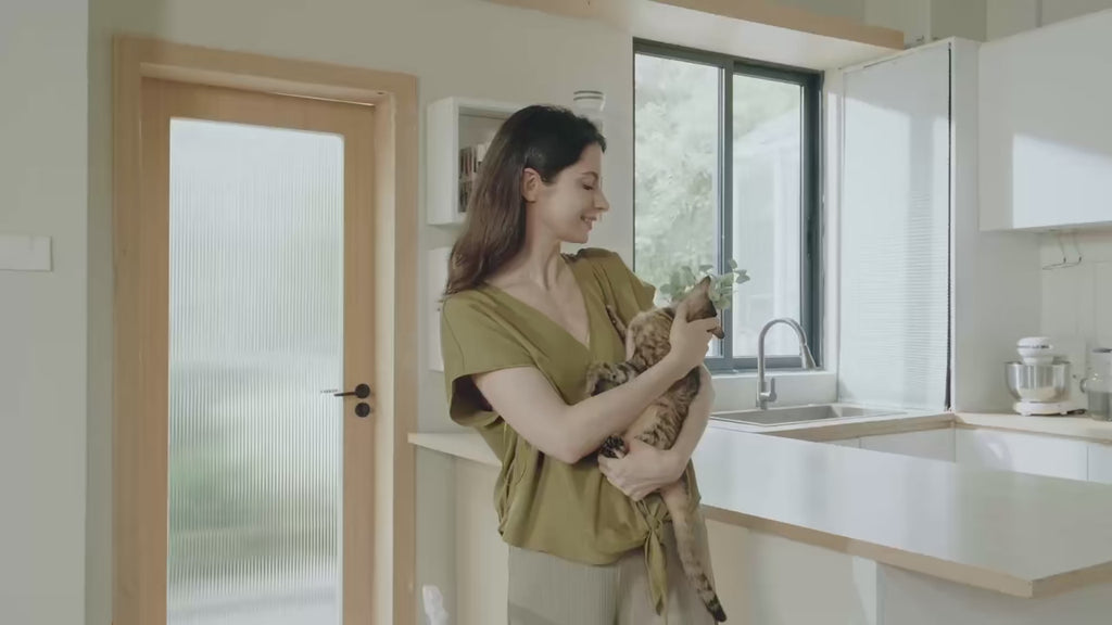 Furoomate LitterBot F6 ✨ – Open-Top Auto-Sifting Odor Control